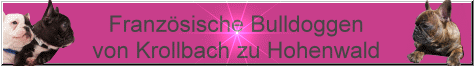 http://bullyvonkrollbachzuh.cms4people.de/banner-von-krollbach-zu-hohenw_474_66.gif